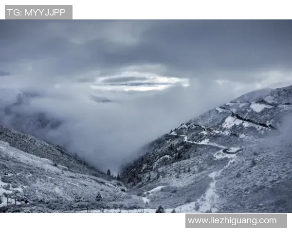 杨伟独家分享攀岩技巧与心得助你轻松征服高峰