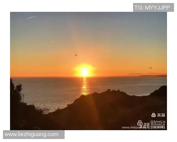 自由与天空的历史交锋探讨与反思之旅